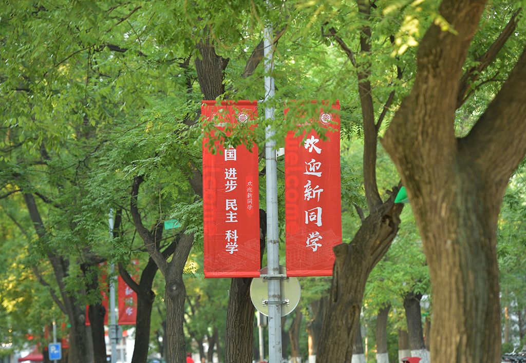c6d359de00a64649b67e2496cc224319.jpg